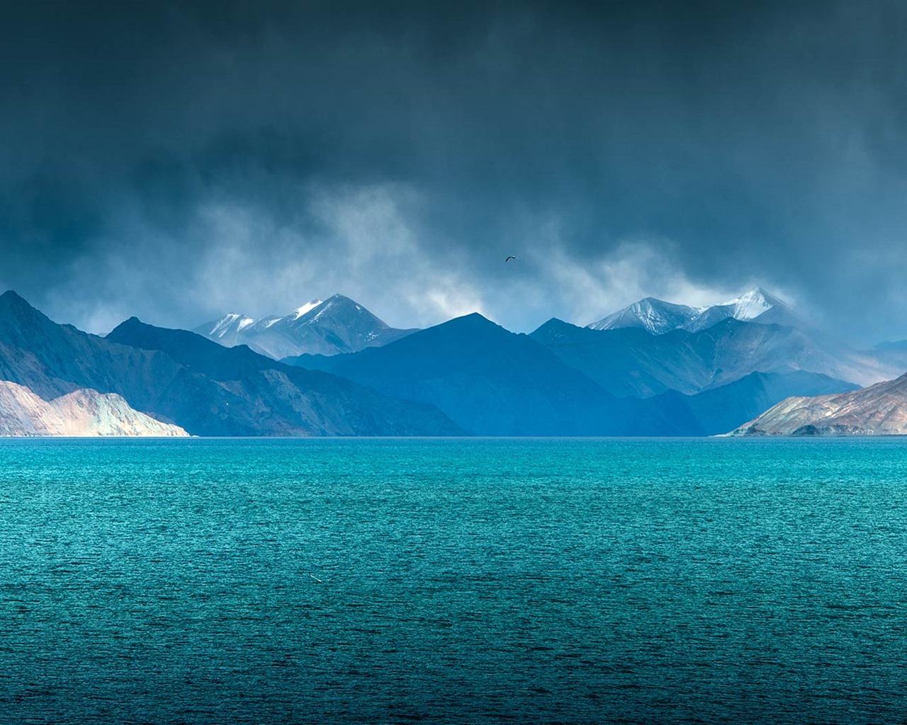 July 2016 Bing theme HD wallpapers (2) #14 - 1280x1024