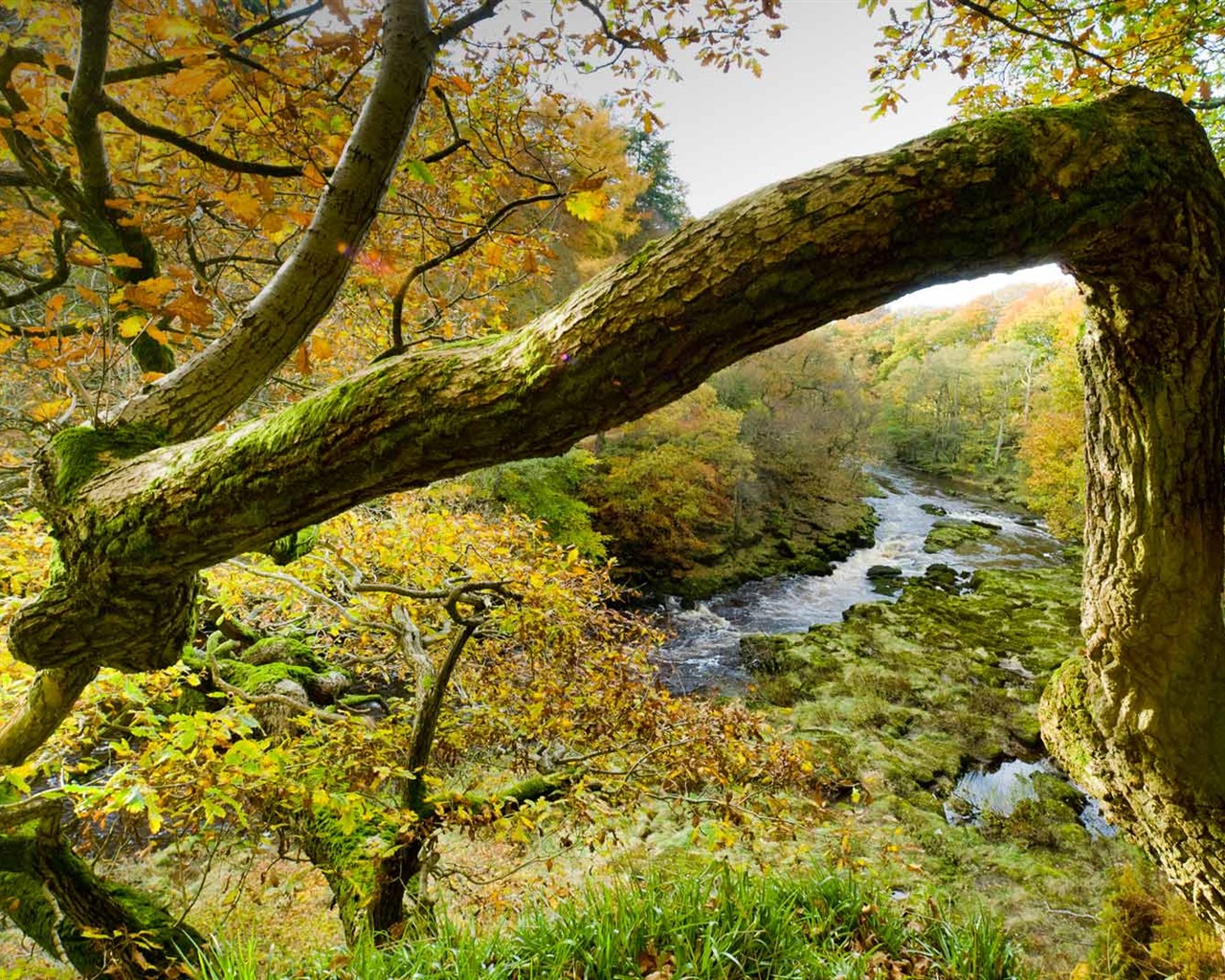 Juillet 2016 fonds d'écran Bing thème HD (2) #30 - 1280x1024