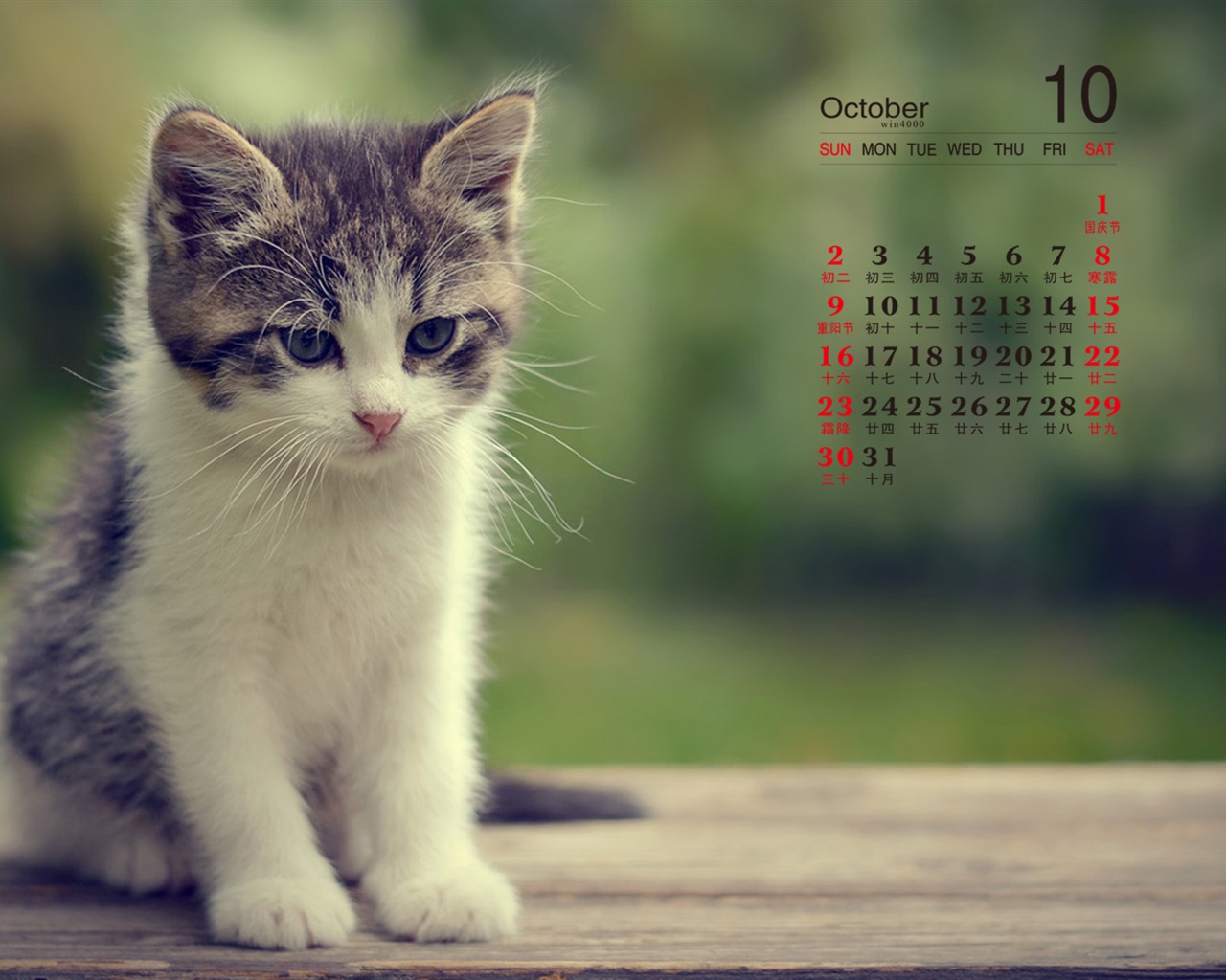 De octubre de el año 2016 fondo de pantalla de calendario (1) #8 - 1280x1024