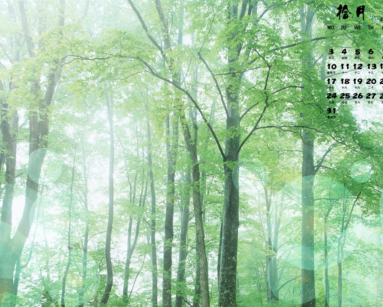 Října 2016 kalendář tapeta (1) #20 - 1280x1024
