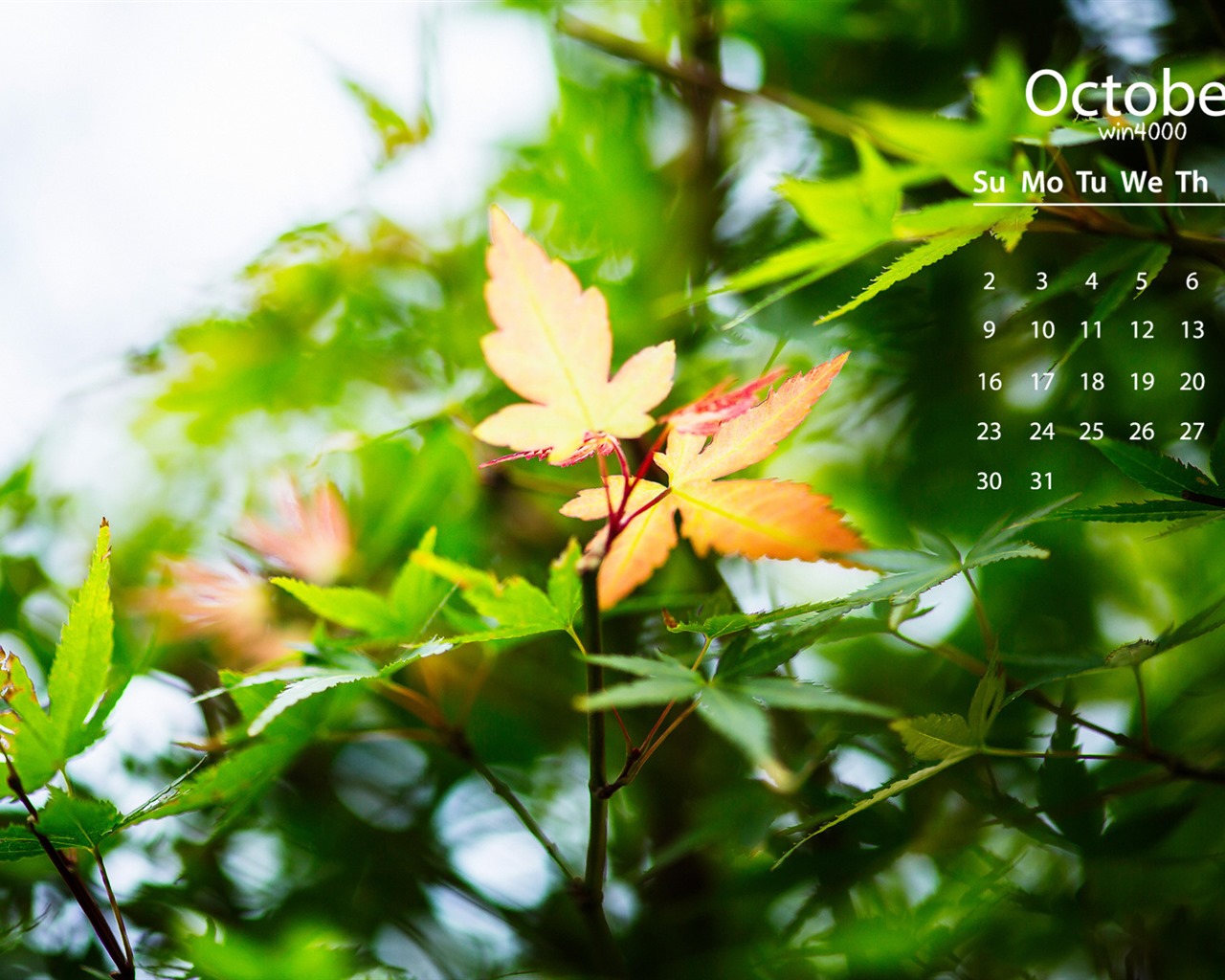 October 2016 calendar wallpaper (2) #4 - 1280x1024