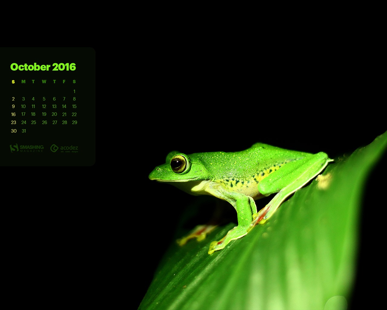 Oktober 2016 Kalender Wallpaper (2) #12 - 1280x1024