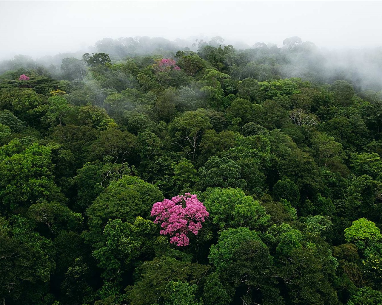 Août 2016 fonds d'écran Bing thème HD (1) #6 - 1280x1024