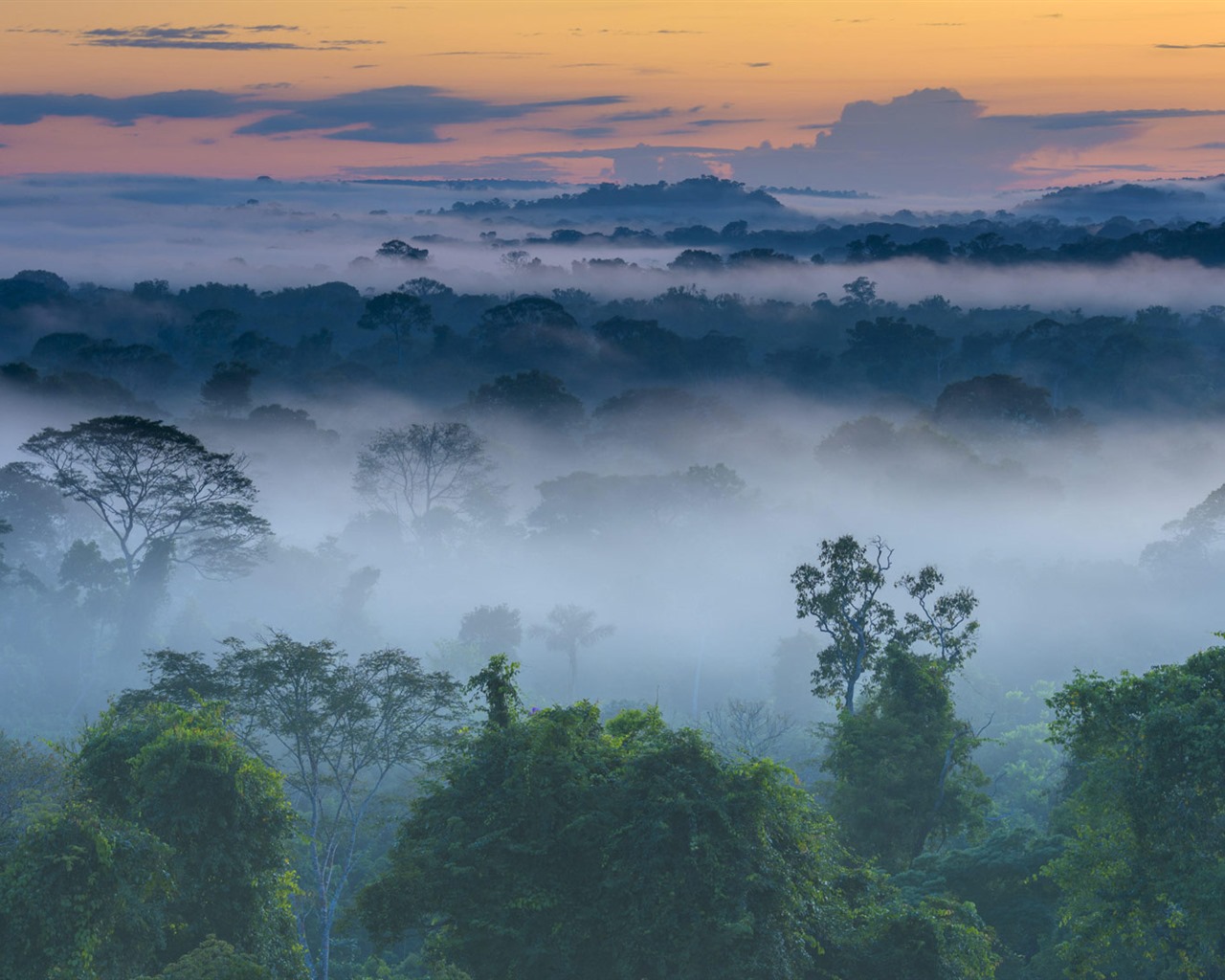 Août 2016 fonds d'écran Bing thème HD (1) #24 - 1280x1024