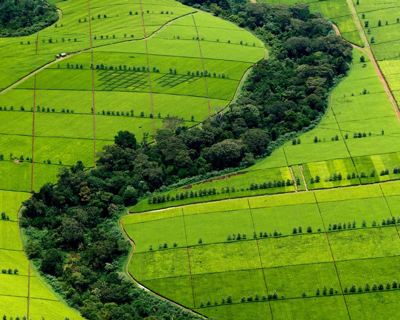 Août 2016 fonds d'écran Bing thème HD (1) #32 - 1280x1024