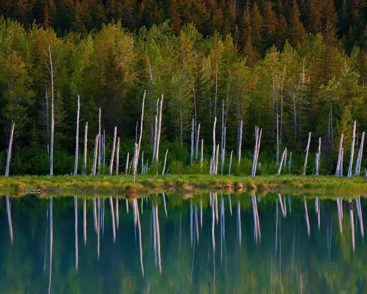Srpen 2016 Bing téma HD tapety na plochu (2) #21 - 1280x1024