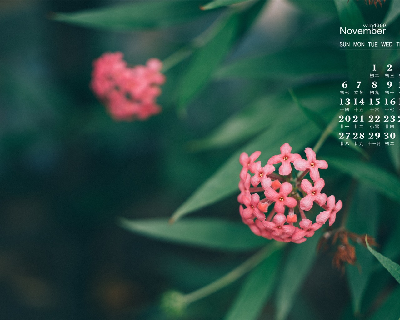 November 2016 calendar wallpaper (1) #2 - 1280x1024