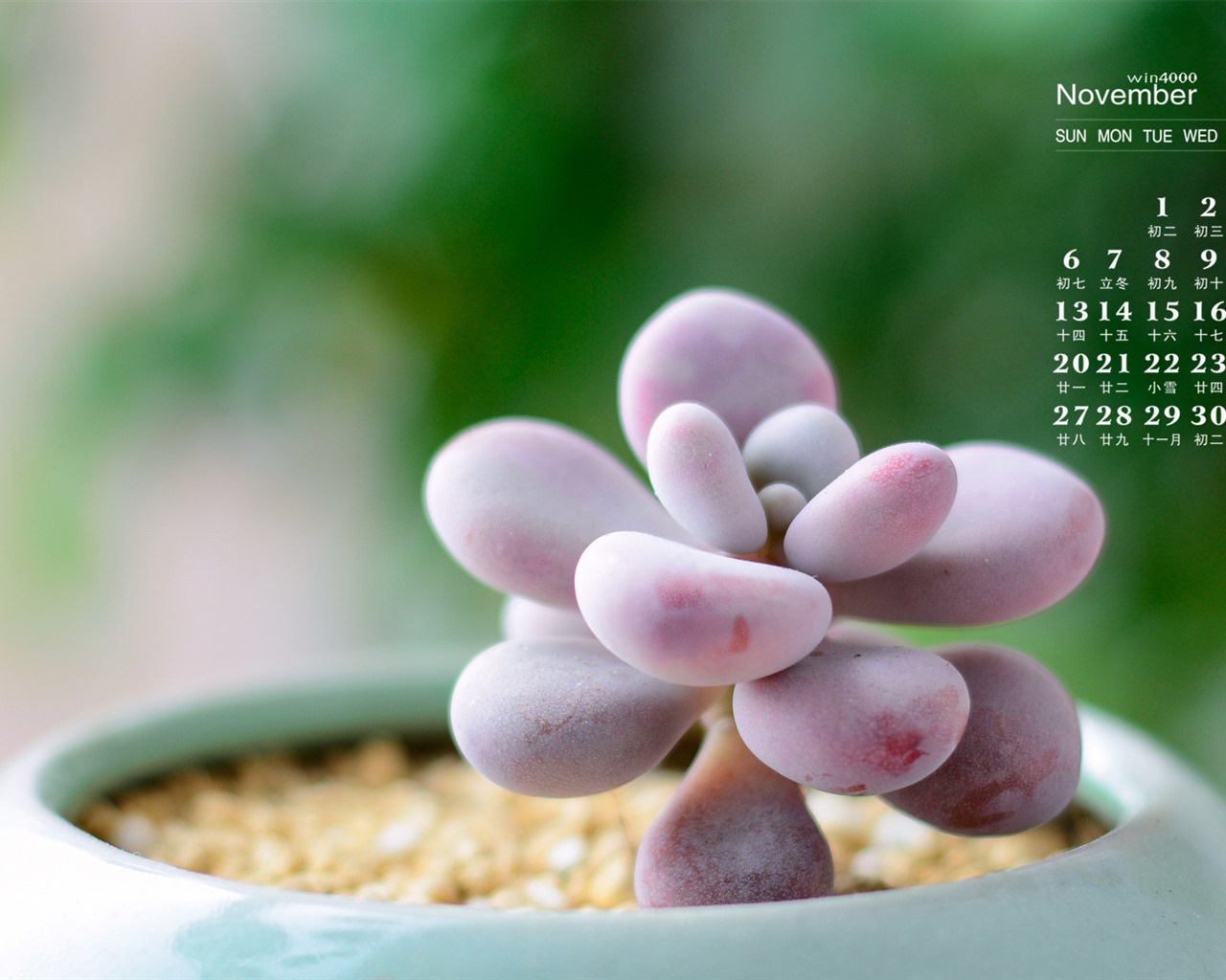 Fondo de escritorio del calendario de noviembre de 2016 (1) #3 - 1280x1024