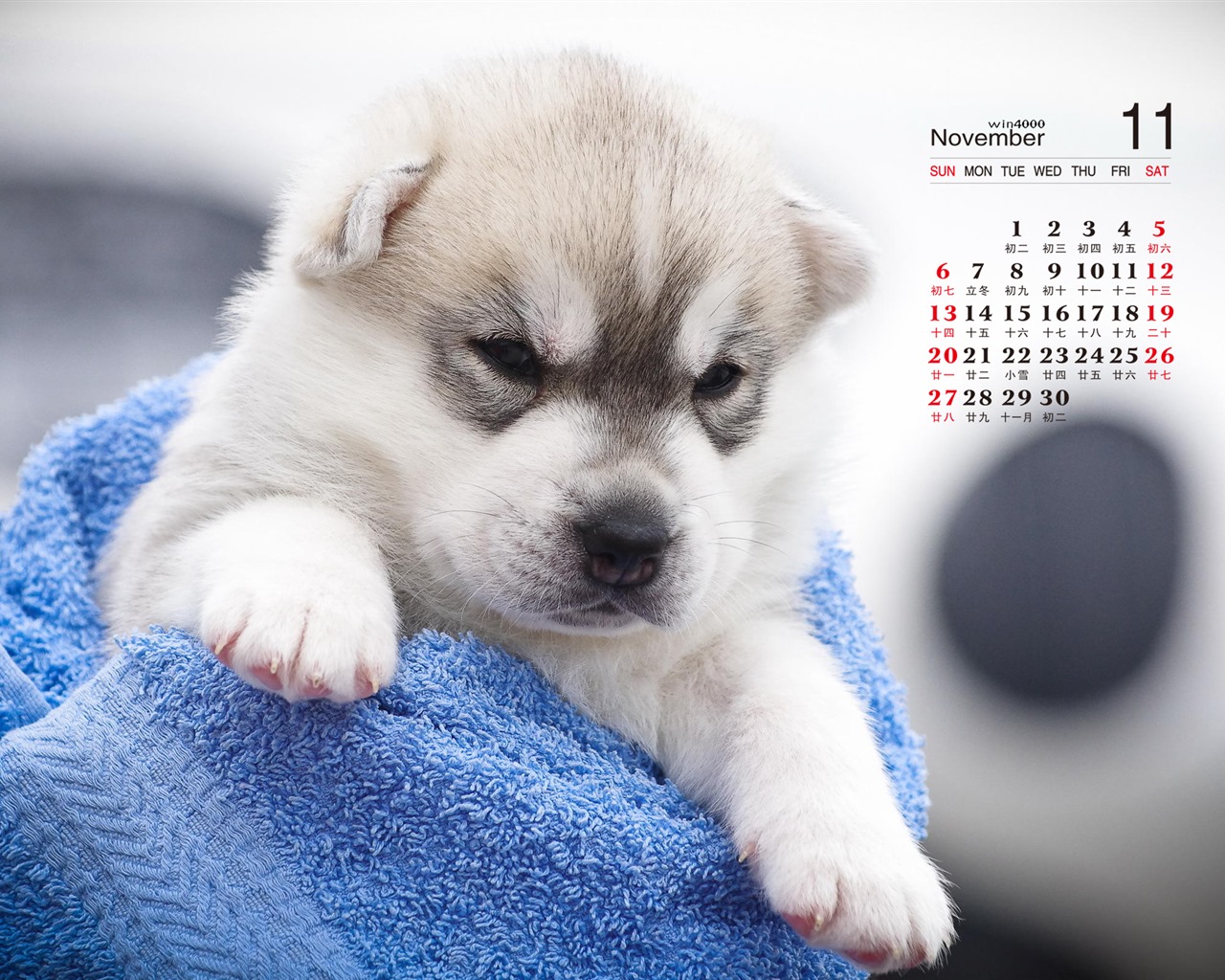 November 2016 calendar wallpaper (1) #13 - 1280x1024