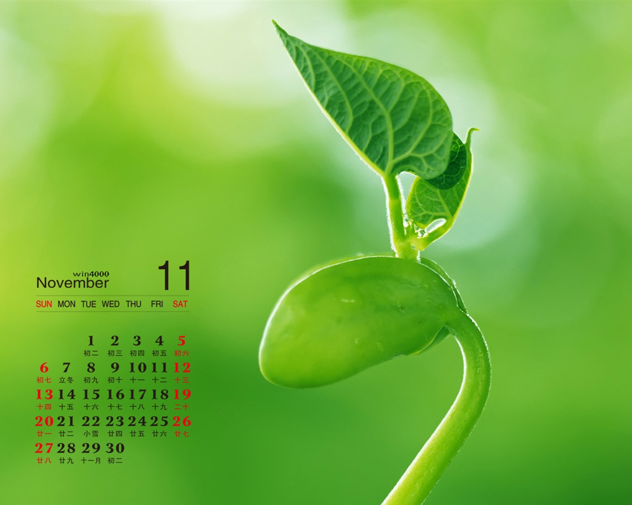 November 2016 calendar wallpaper (2) #6 - 1280x1024