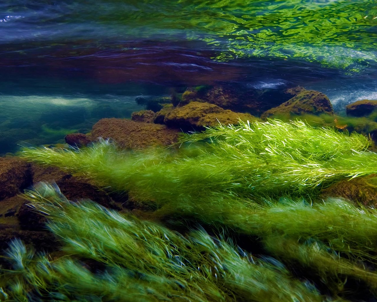 Září 2016 Bing téma HD tapety na plochu (1) #4 - 1280x1024