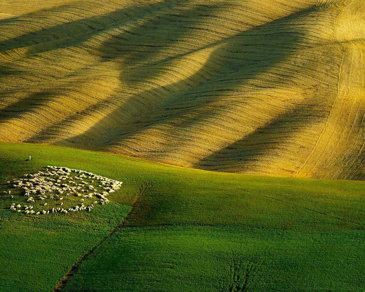Září 2016 Bing téma HD tapety na plochu (1) #12 - 1280x1024