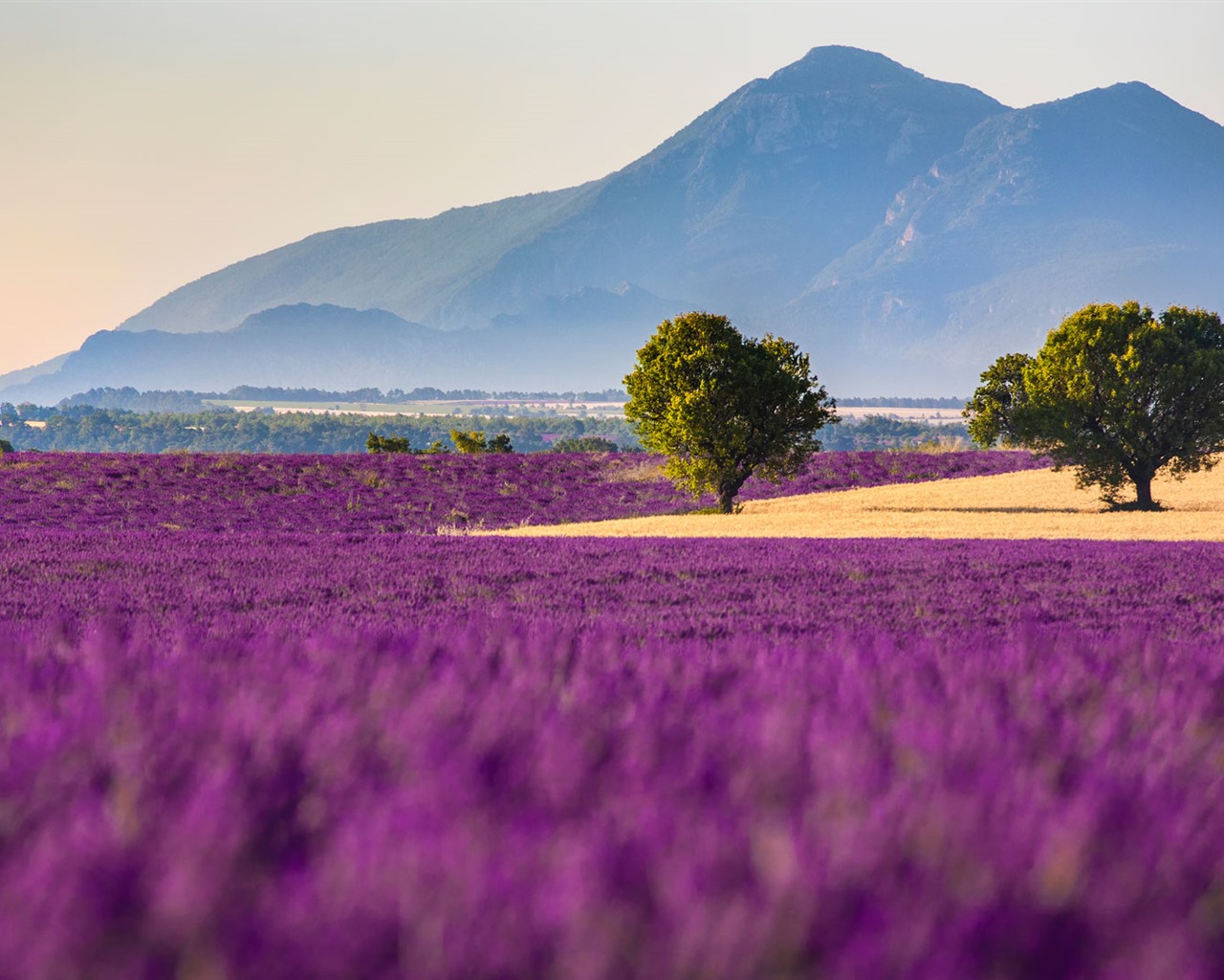 September 2016 Bing Thema HD Hintergrundbilder (1) #31 - 1280x1024