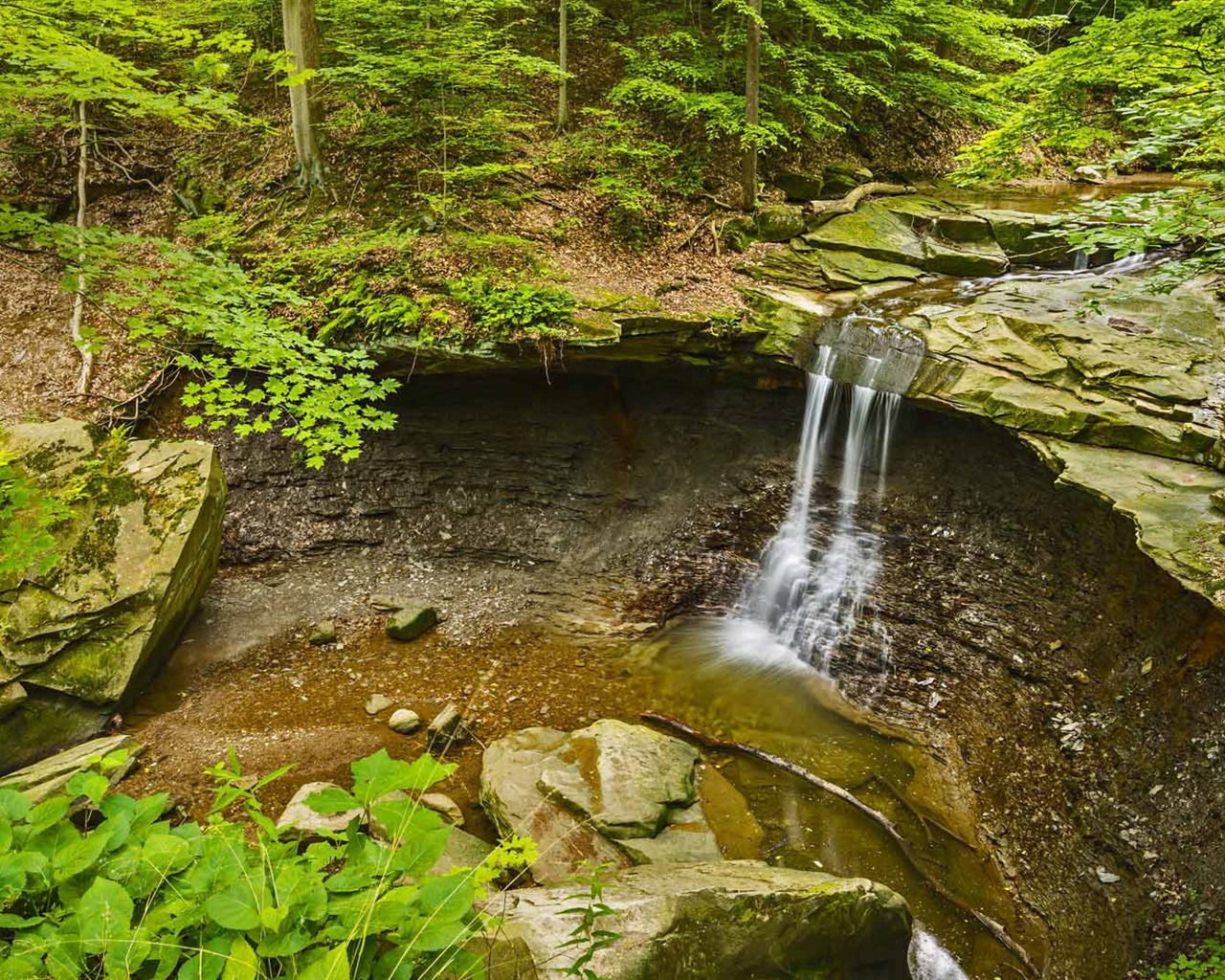 Září 2016 Bing téma HD tapety na plochu (1) #39 - 1280x1024