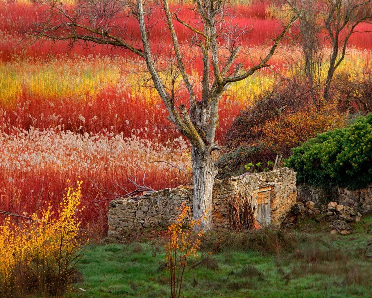 Září 2016 Bing téma HD tapety na plochu (2) #11 - 1280x1024