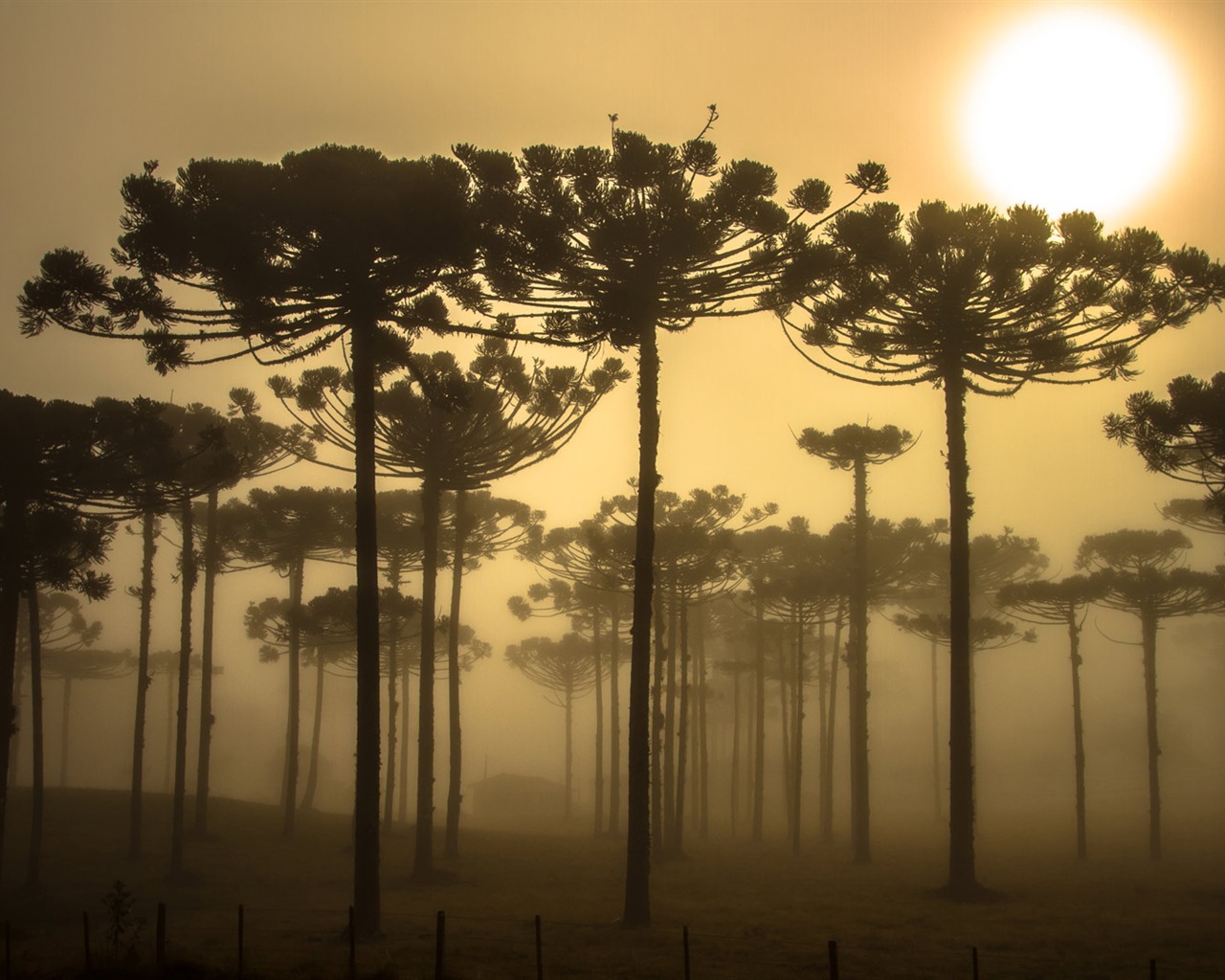 Septembre 2016 Bing thème Fonds d'écran HD (2) #24 - 1280x1024