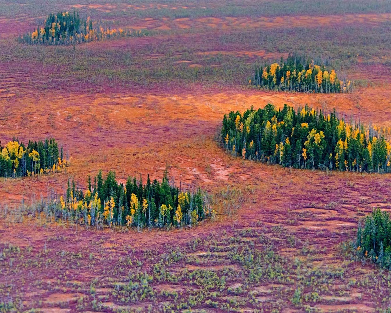 Octobre 2016 Bing thème HD fonds d'écran (1) #11 - 1280x1024