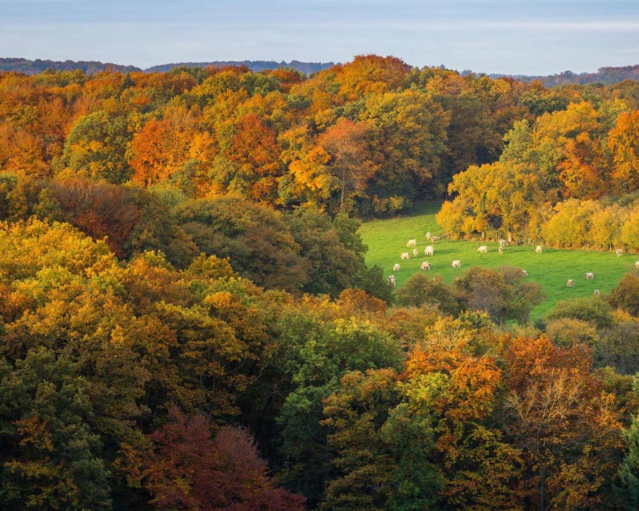 Oktober 2016 Bing Thema HD Hintergrundbilder (1) #35 - 1280x1024