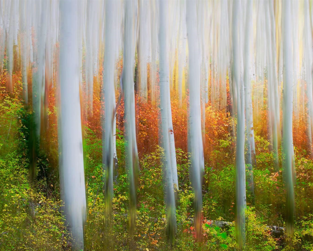 Oktober 2016 Bing Thema HD Hintergrundbilder (2) #11 - 1280x1024