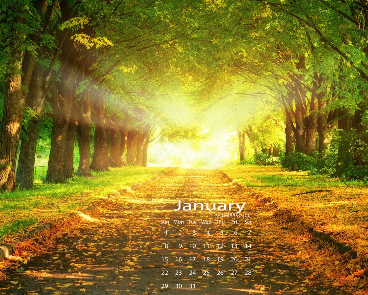 January 2017 calendar wallpaper (1) #2 - 1280x1024