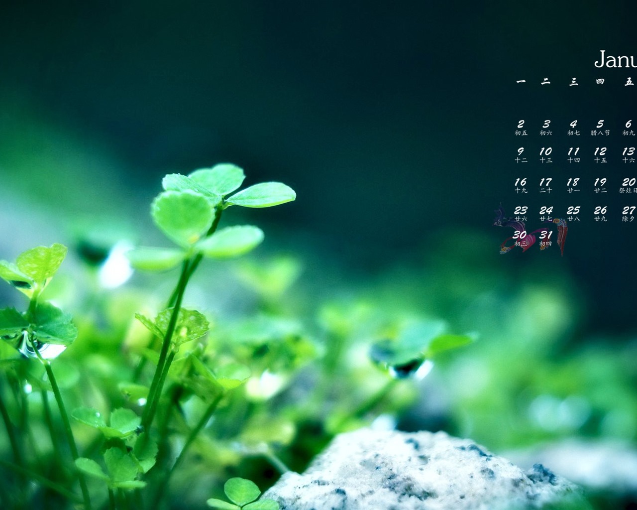 January 2017 calendar wallpaper (1) #10 - 1280x1024