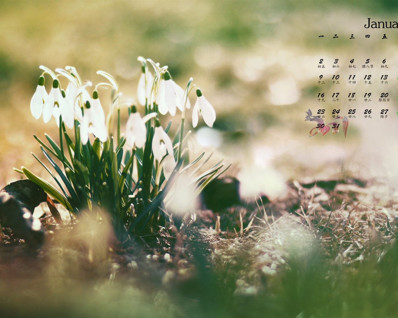 January 2017 calendar wallpaper (1) #14 - 1280x1024