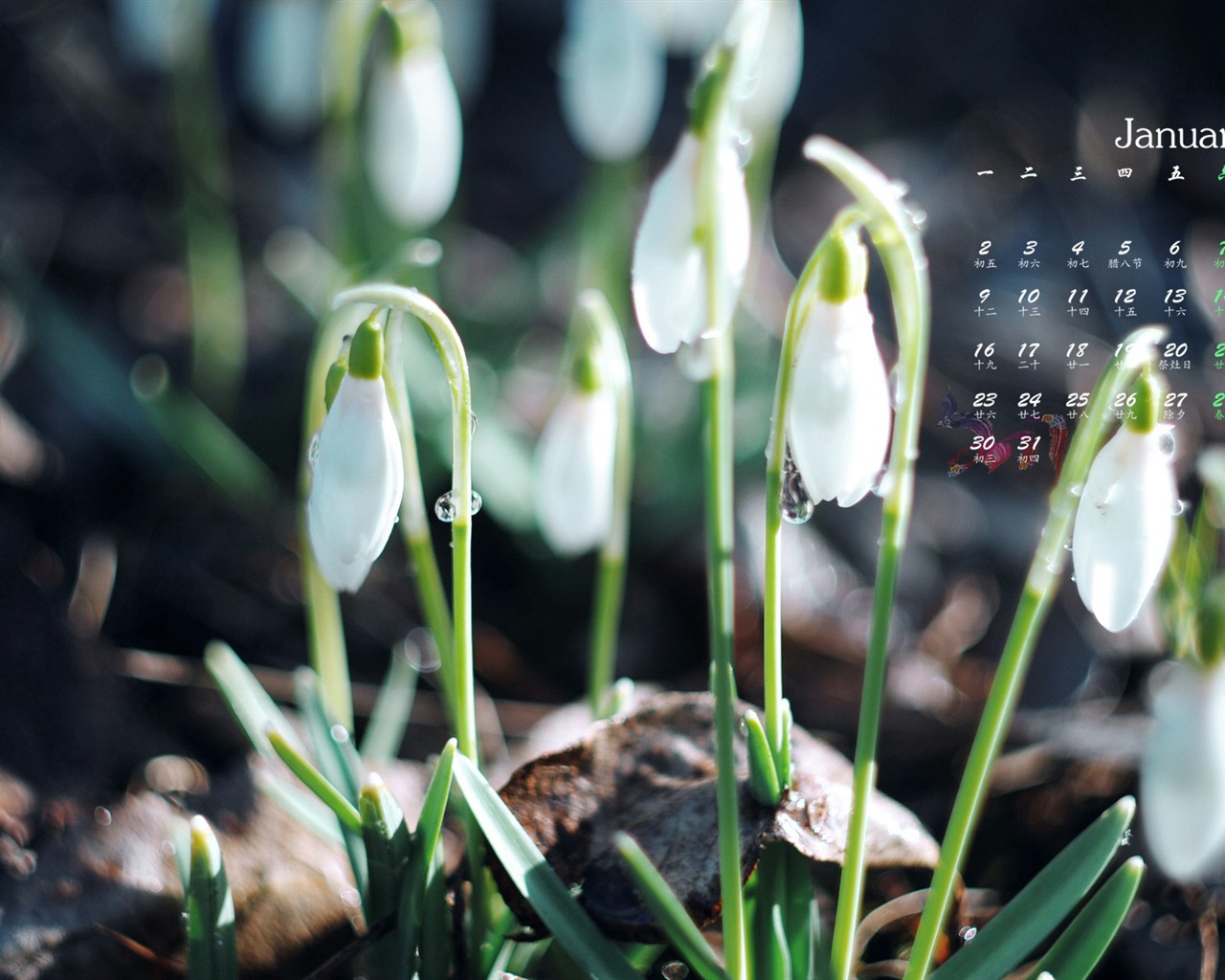 January 2017 calendar wallpaper (1) #15 - 1280x1024