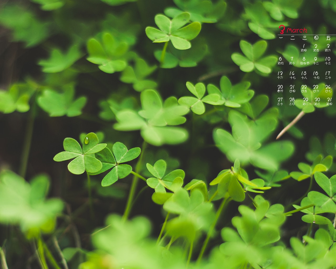 March 2017 calendar wallpaper (1) #6 - 1280x1024