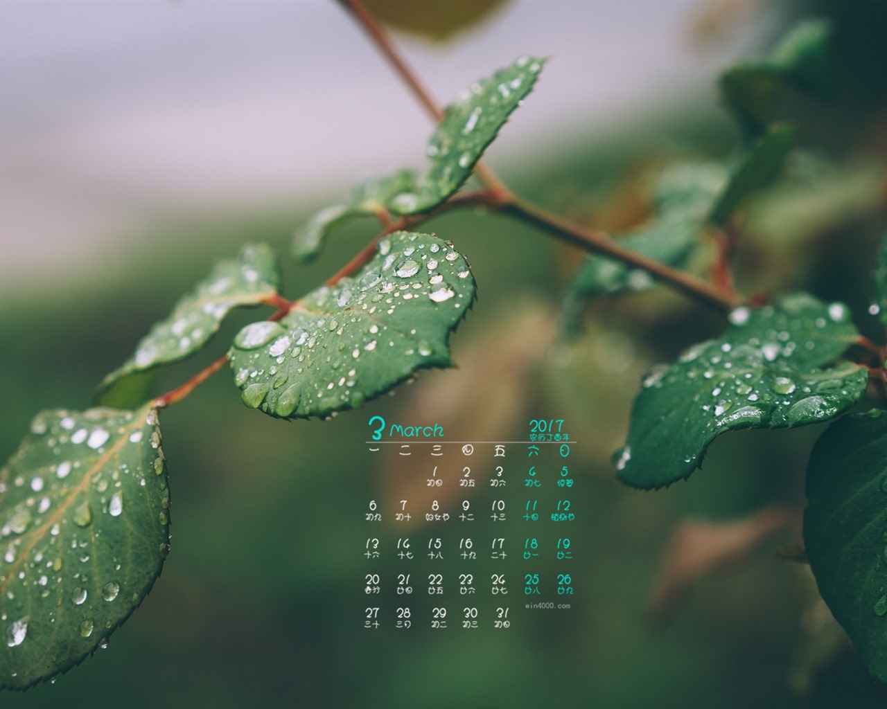 Fondo de pantalla del calendario de marzo de 2017 (1) #7 - 1280x1024