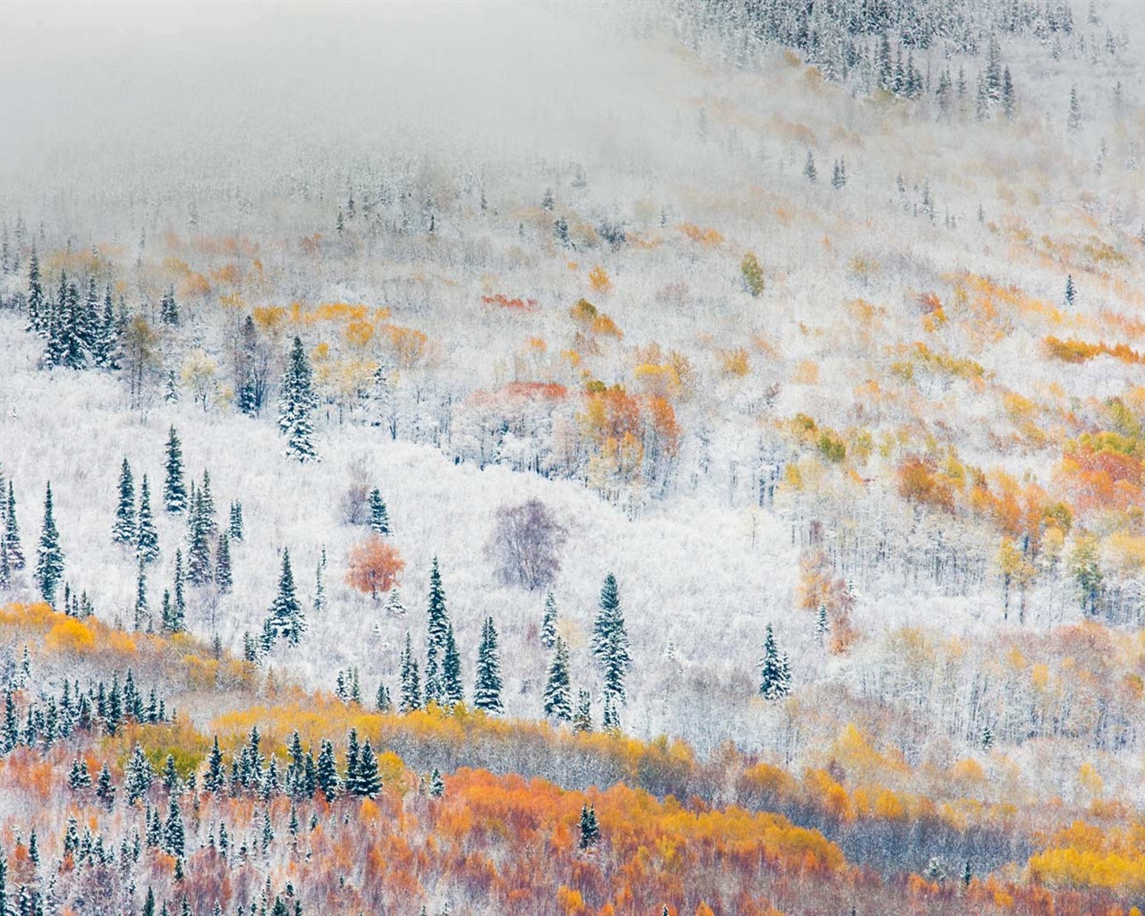 Listopadu 2016 Bing téma HD tapety na plochu (1) #8 - 1280x1024