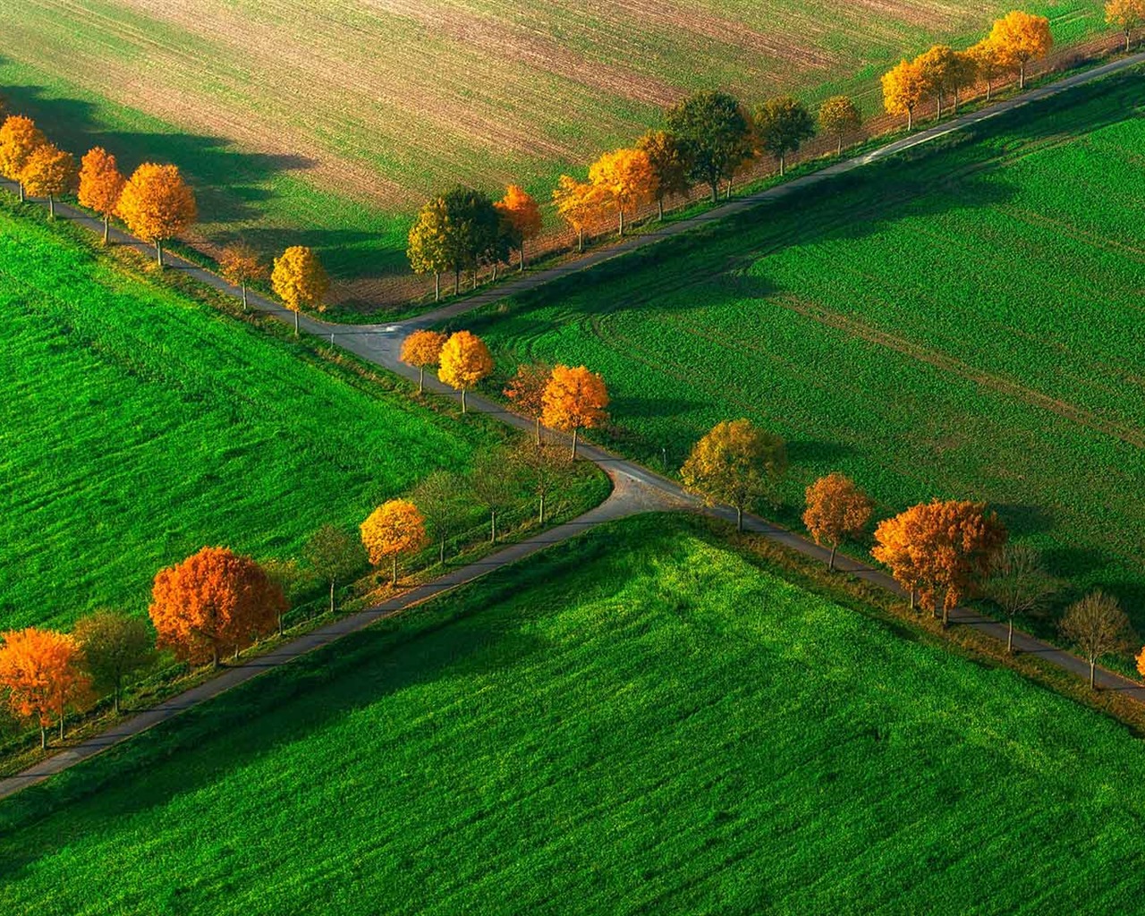 Listopadu 2016 Bing téma HD tapety na plochu (1) #12 - 1280x1024