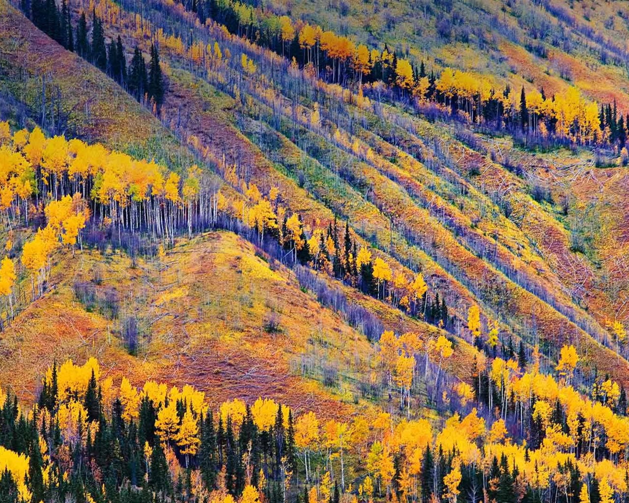 Listopadu 2016 Bing téma HD tapety na plochu (1) #32 - 1280x1024