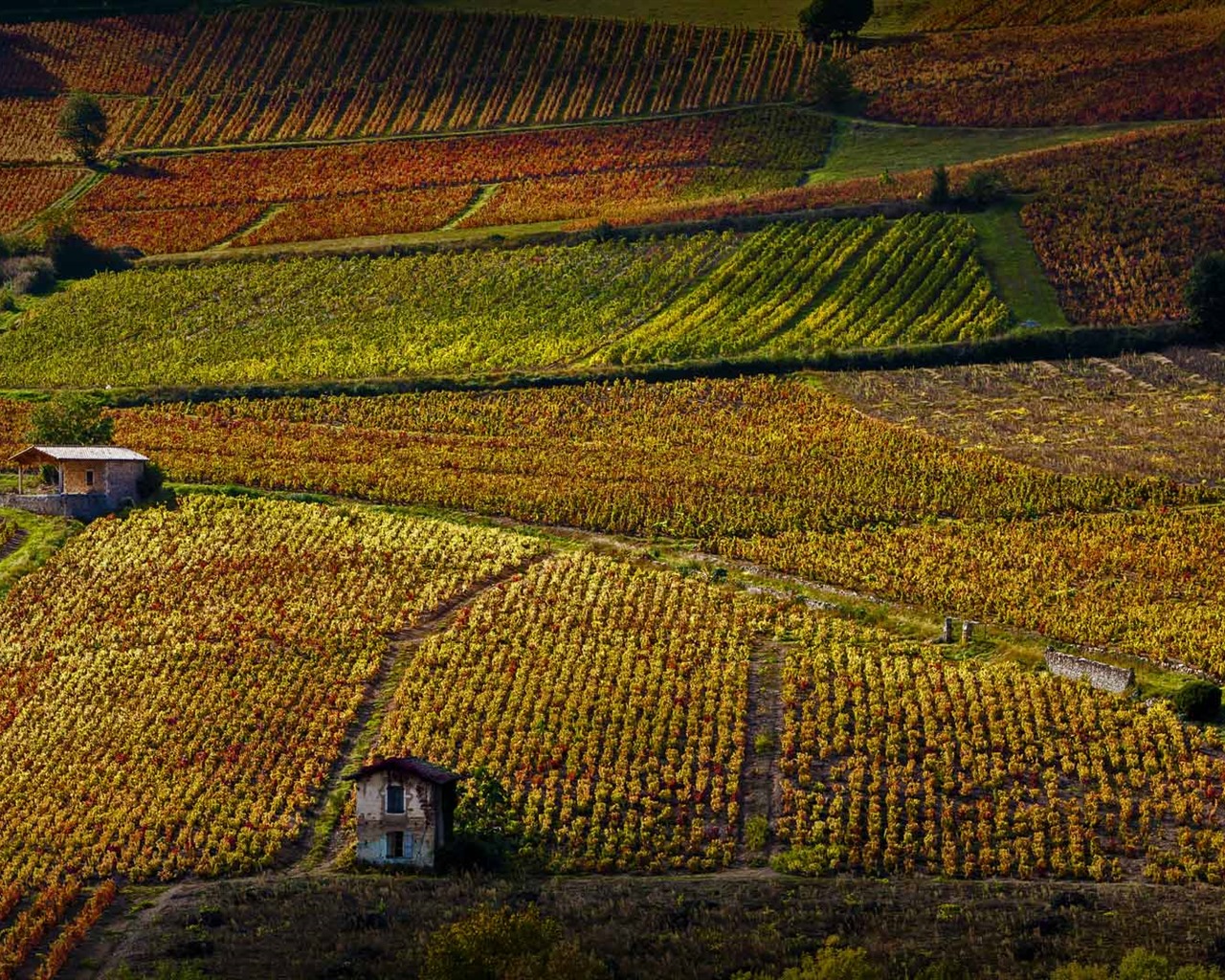 Noviembre de 2016 Bing tema HD fondos de pantalla (1) #36 - 1280x1024