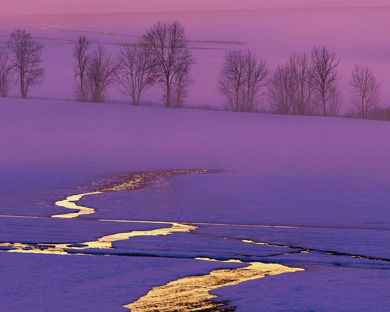 Décembre 2016 Fonds d'écran HD de thème Bing (1) #30 - 1280x1024