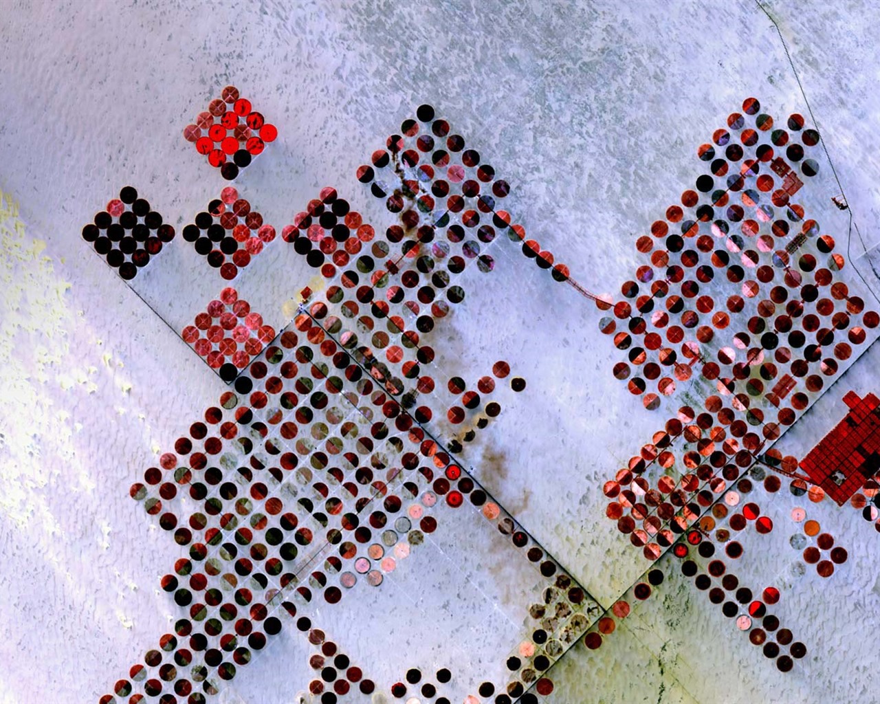 Leden 2017 Bing téma tapety s vysokým rozlišením (1) #17 - 1280x1024