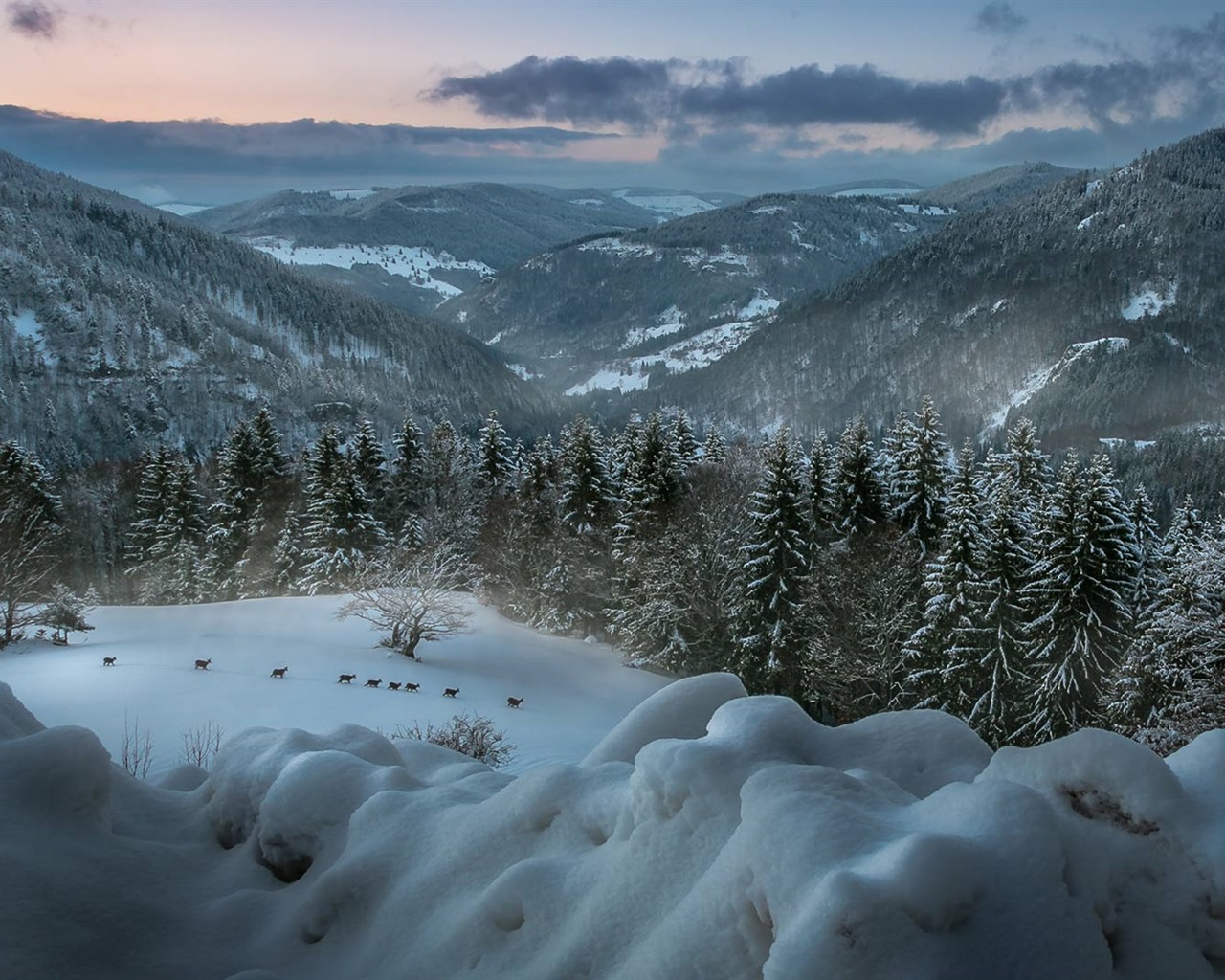 Janvier 2017 thème Bing du fond d'écran haute définition (1) #24 - 1280x1024