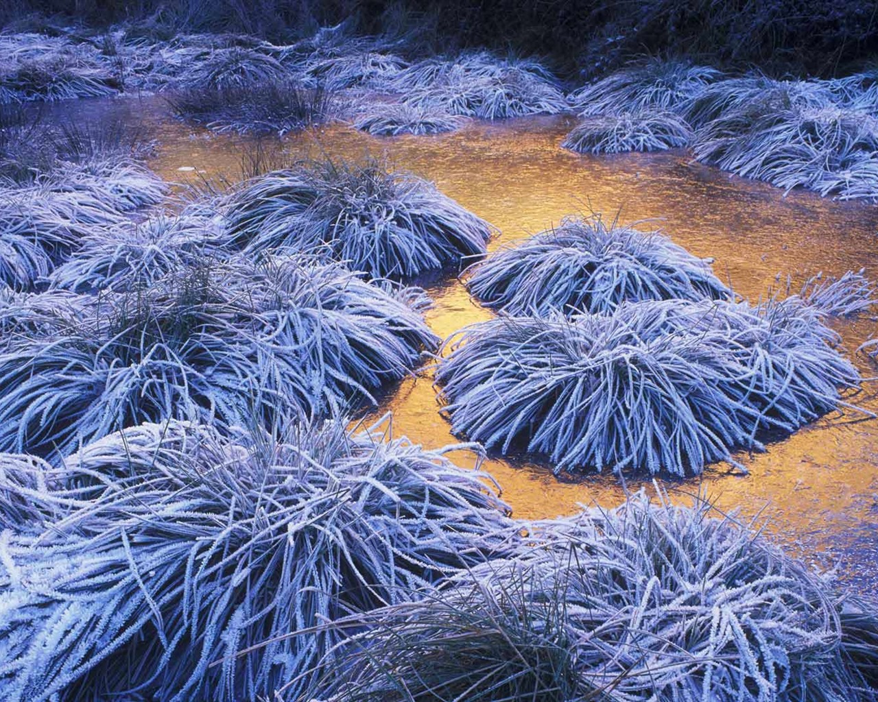 Janvier 2017 thème Bing du fond d'écran haute définition (1) #34 - 1280x1024