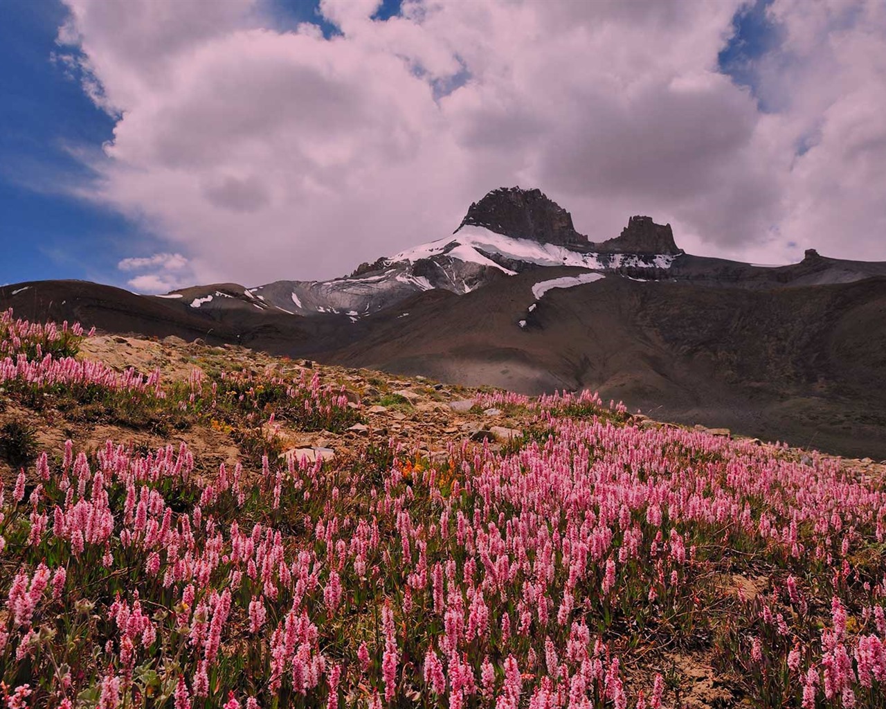 Janvier 2017 thème Bing du fond d'écran haute définition (1) #36 - 1280x1024