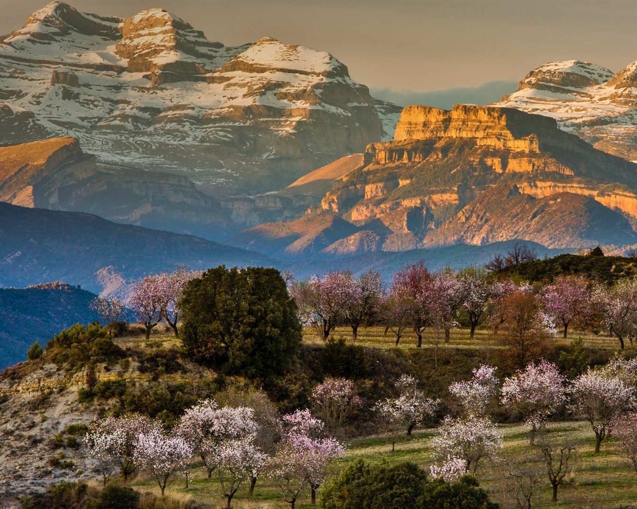 Marzo 2017 Bing tema de la alta definición de fondo de pantalla (2) #16 - 1280x1024