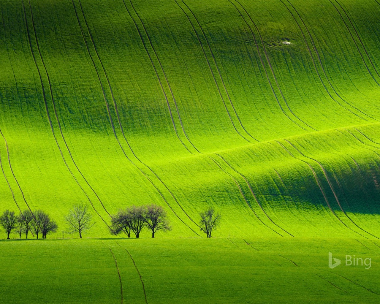 Duben 2017 Bing téma tapety s vysokým rozlišením #22 - 1280x1024