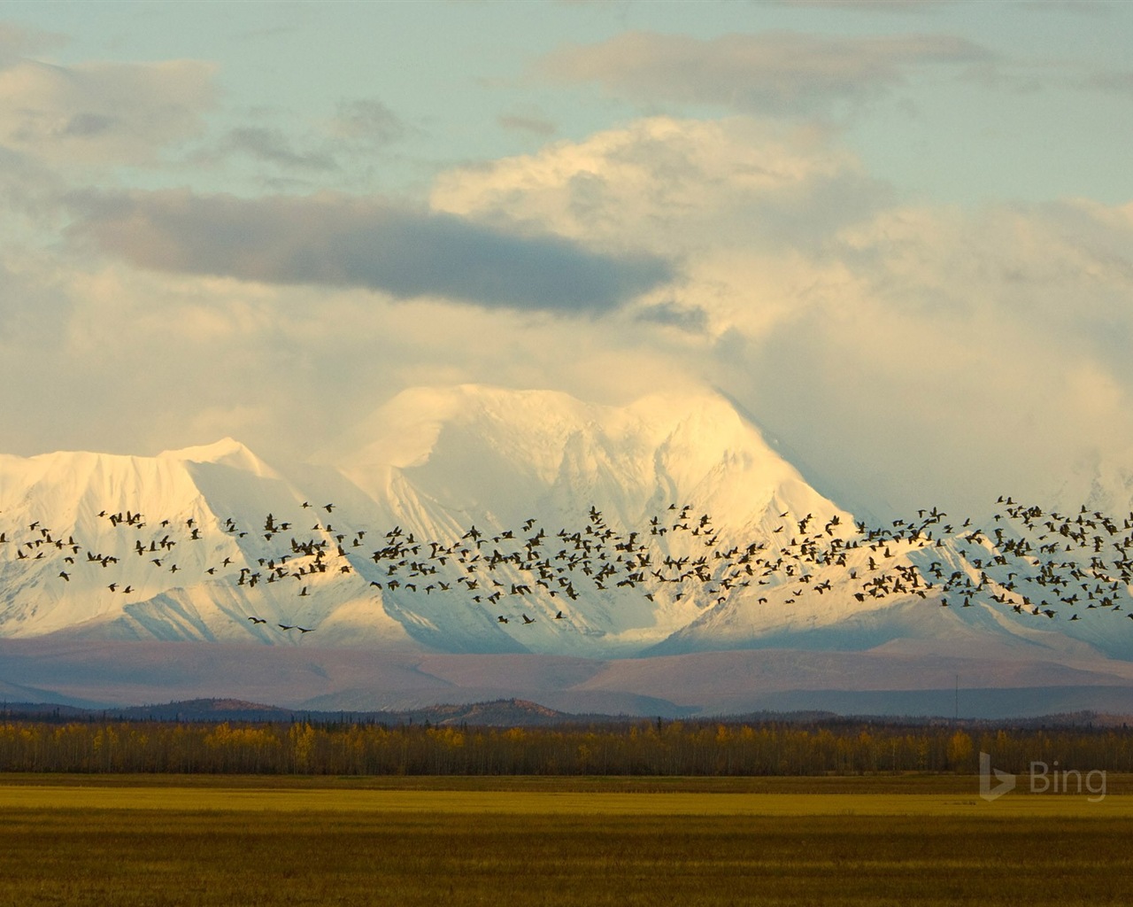 Mai 2017 Bing Thema der hochauflösenden Hintergrundbild #14 - 1280x1024