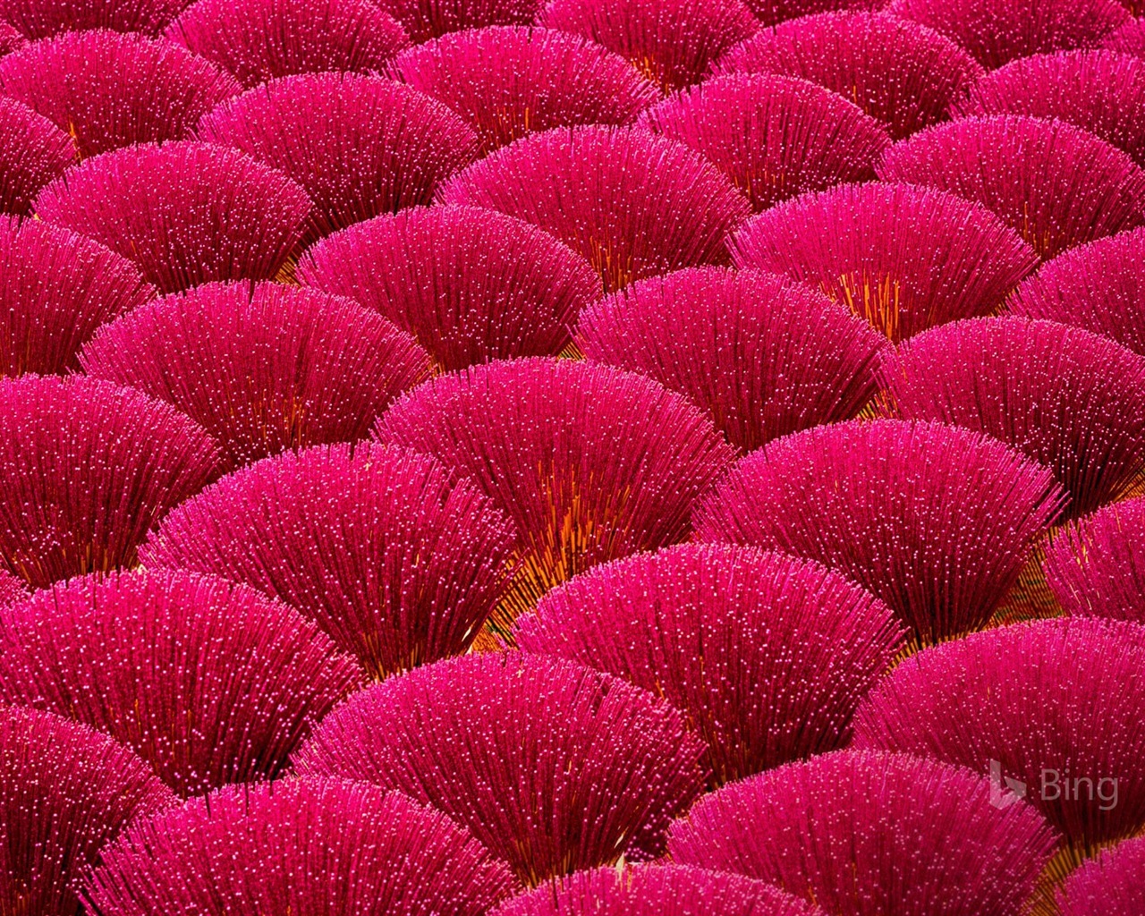 Mai 2017 Bing Thema der hochauflösenden Hintergrundbild #16 - 1280x1024