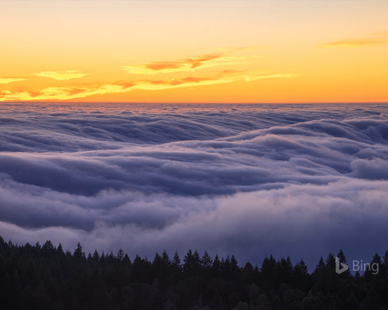 Mai 2017 Bing Thema der hochauflösenden Hintergrundbild #31 - 1280x1024