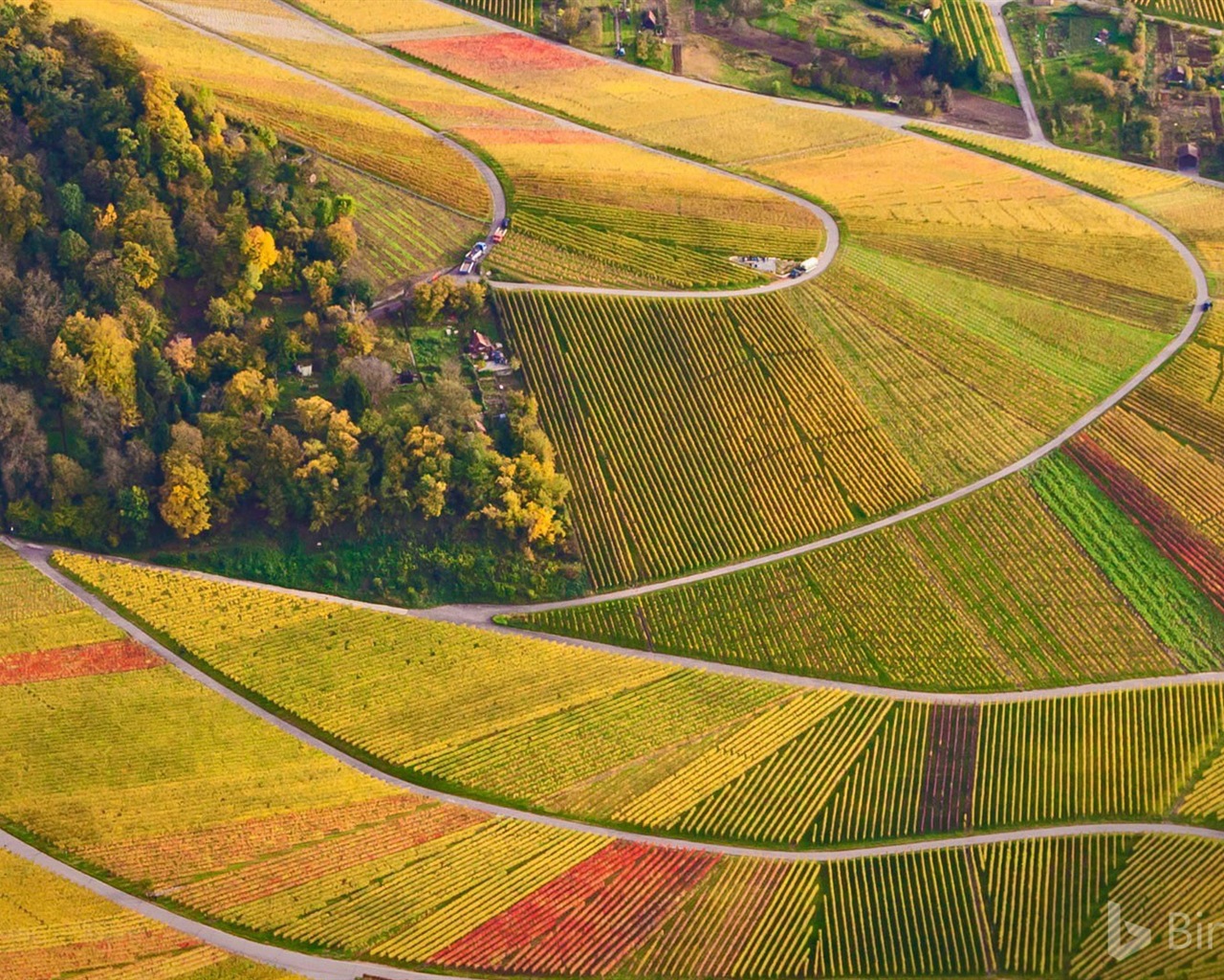 Září 2017 Bing téma HD tapetu #20 - 1280x1024