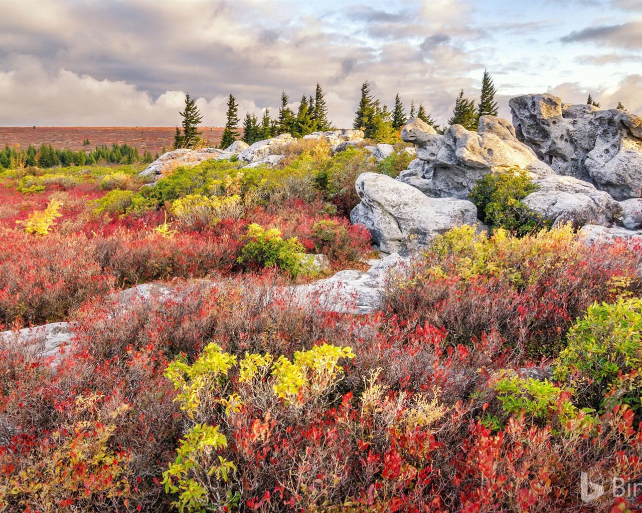 Septembre 2017 thème Bing fond d'écran HD #22 - 1280x1024