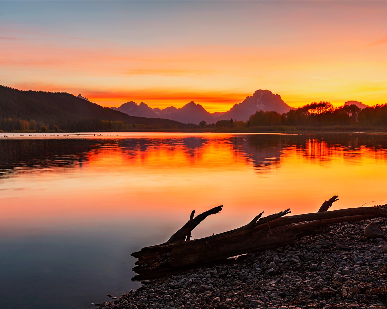 USA Grand Teton National Park nature landscape HD wallpapers #7 - 1280x1024