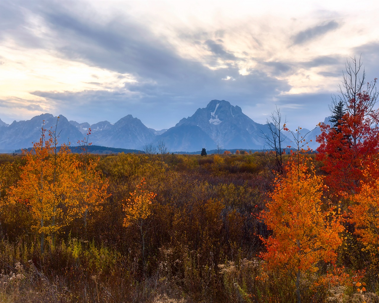 미국 그랜드 Teton 국립 공원 자연 풍경의 HD 월페이퍼 #17 - 1280x1024