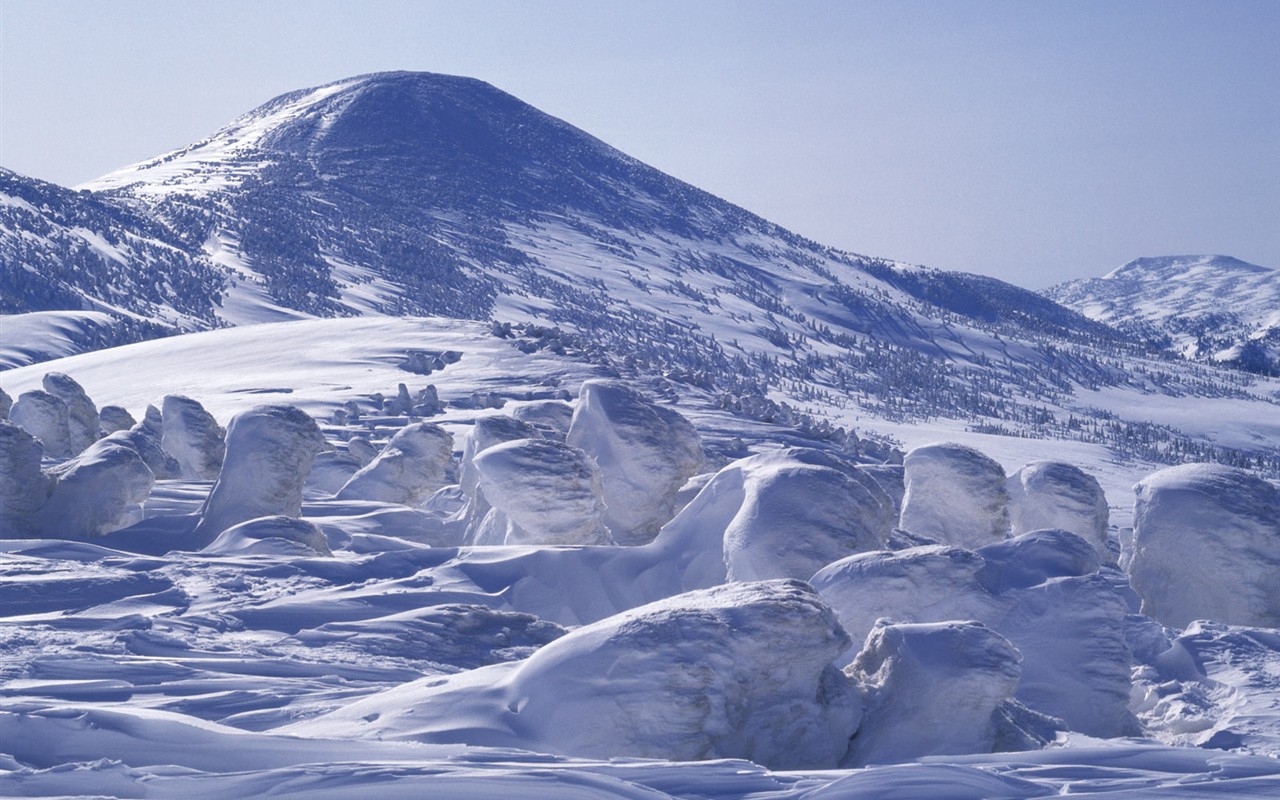 雪の林の壁紙(2) #15 - 1280x800