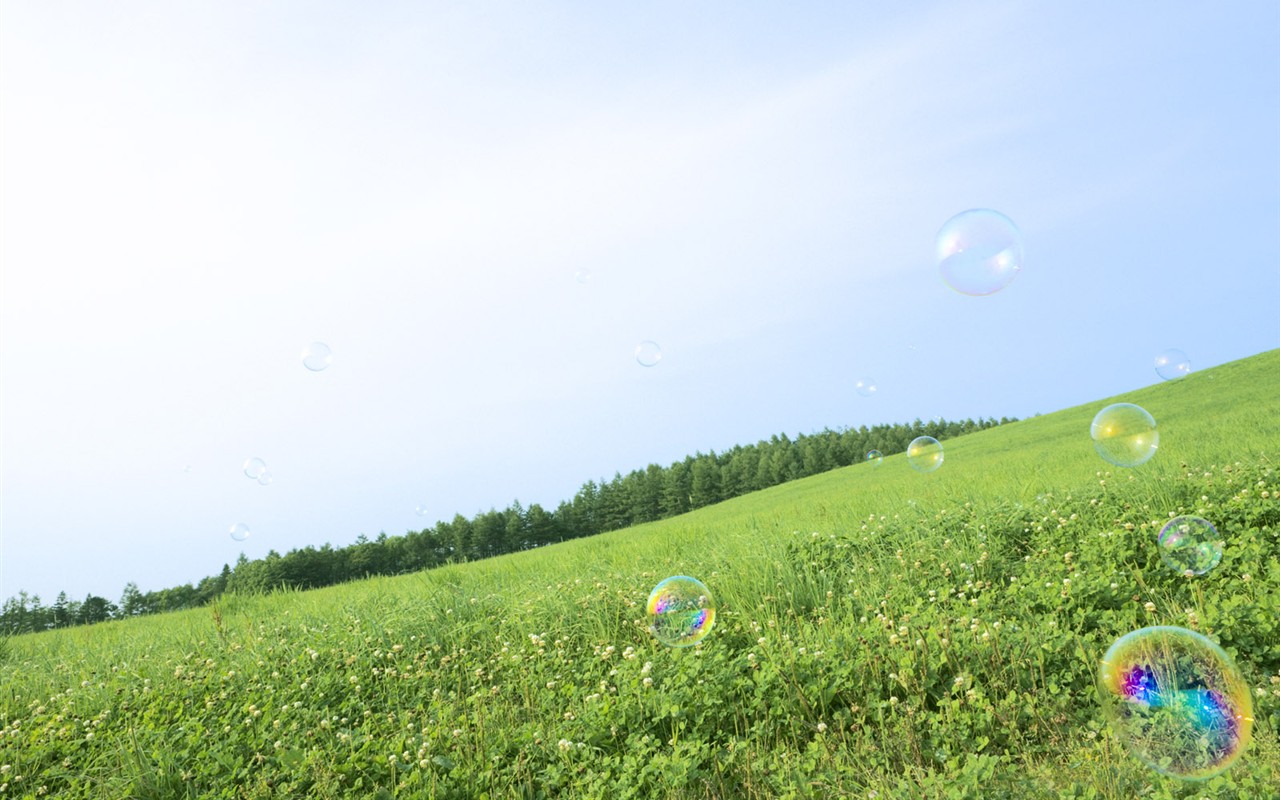 Green Grass wallpaper (1) #9 - 1280x800