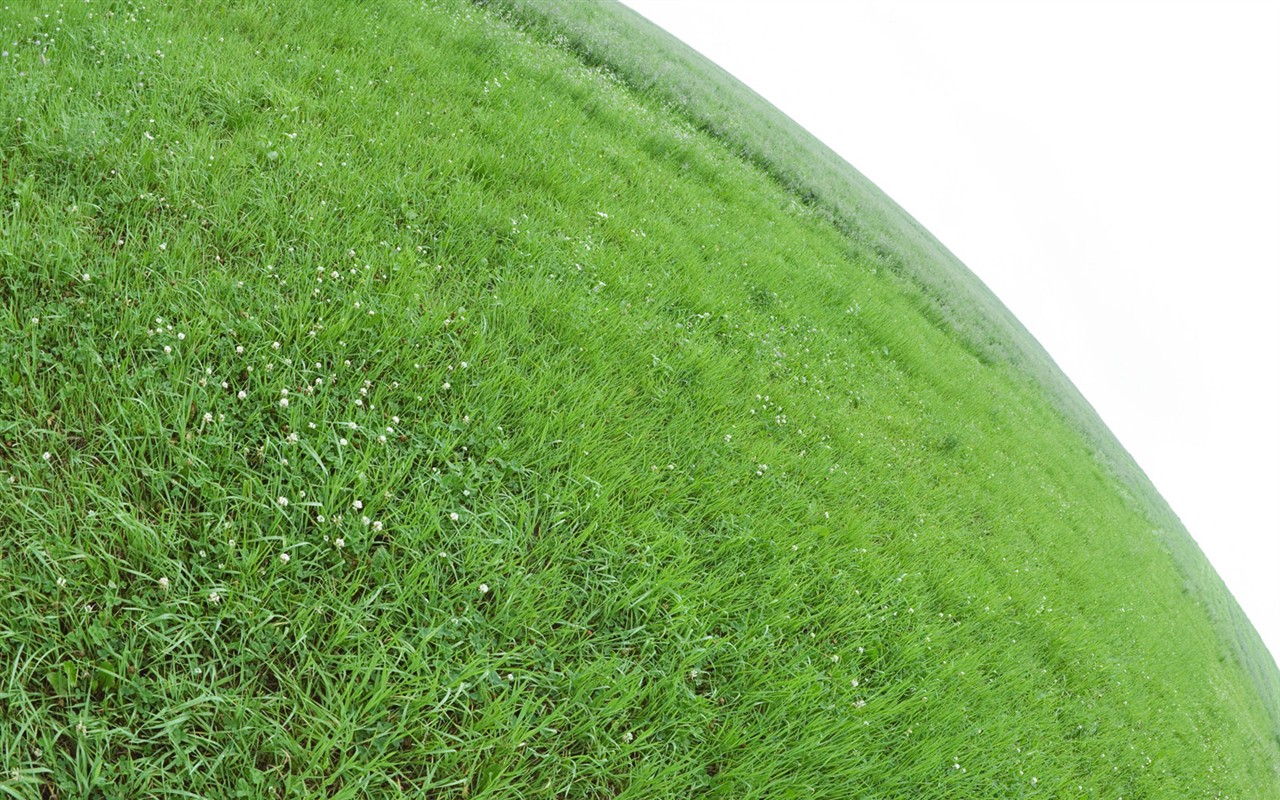 Green Grass wallpaper (1) #12 - 1280x800